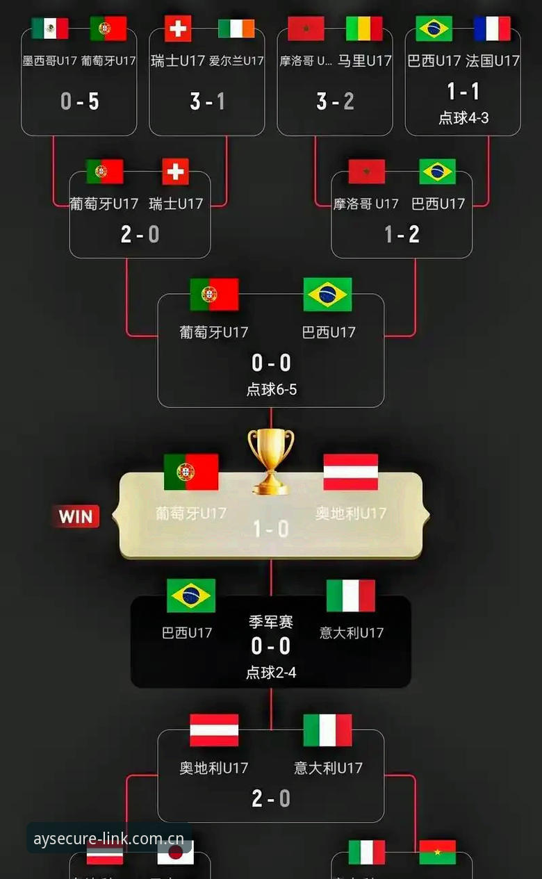 资深用户分享：U17世界杯抽签结果解析与高效观赛经验